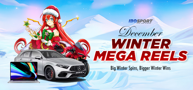DECEMBER WINTER MEGA REELS