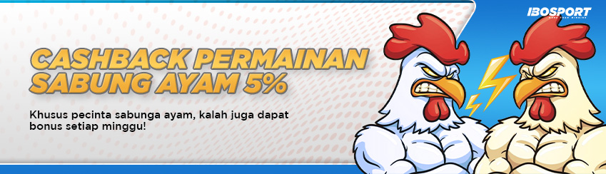 CASHBACK 5% TARUHAN SABUNG AYAM IBOSPORT
